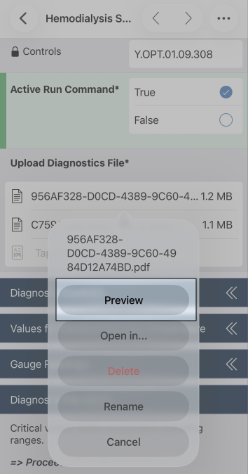 The options for an attached PDF: Preview, Open in..., Delete, Rename, and Cancel. Preview is highlighted.