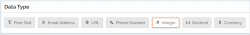Select a Data Type for your form question