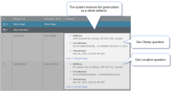 Example of Geo Location and Geo Stamp questions in the Web Portal. Both answers are shown as an address, coordinates, and with the timestamp when the system captured the location.